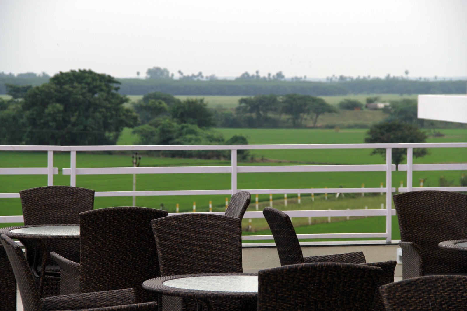 Outdoor deck overlooking paddy fields